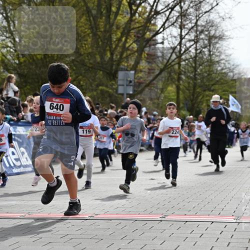 12.04.2026 - 45. Internationalen Wilhelmsburger Insellauf J. Mangold http://msf.ph/oto/9520893 12.04.2026 14:10:04 Ziel 543, 721, 1503, 736, 715, 6, 1504, 412, 681, 640, 248, 441, 723, 119, 186, 224, 745, 207, 920, 770, 182, 19 meine-sportfotos.de