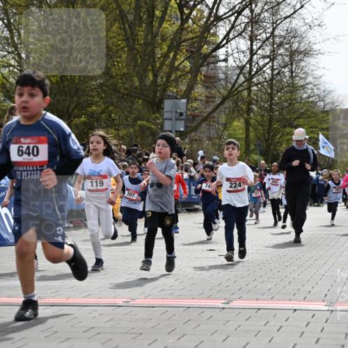 12.04.2026 - 45. Internationalen Wilhelmsburger Insellauf J. Mangold http://msf.ph/oto/9520896 12.04.2026 14:10:05 Ziel 1503, 736, 715, 6, 1504, 412, 681, 640, 248, 441, 723, 119, 186, 224, 745, 207, 920, 770, 182, 19, 913, 181, 529, 942 meine-sportfotos.de