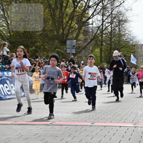 12.04.2026 - 45. Internationalen Wilhelmsburger Insellauf J. Mangold http://msf.ph/oto/9520901 12.04.2026 14:10:05 Ziel 1503, 736, 715, 6, 1504, 412, 681, 640, 248, 441, 723, 119, 186, 224, 745, 207, 920, 770, 182, 19, 913, 181, 529, 942 meine-sportfotos.de