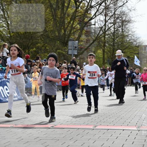 12.04.2026 - 45. Internationalen Wilhelmsburger Insellauf J. Mangold http://msf.ph/oto/9520902 12.04.2026 14:10:05 Ziel 1503, 736, 715, 6, 1504, 412, 681, 640, 248, 441, 723, 119, 186, 224, 745, 207, 920, 770, 182, 19, 913, 181, 529, 942 meine-sportfotos.de