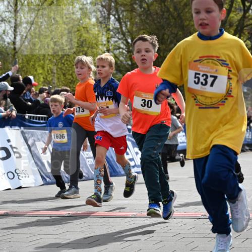 12.04.2026 - 45. Internationalen Wilhelmsburger Insellauf J. Mangold http://msf.ph/oto/9521899 12.04.2026 14:20:49 Ziel 3, 285, 1073, 767, 404, 318, 539, 431, 135, 545, 537, 30, 133, 977, 84, 1606, 473, 956, 467, 324, 299, 1605, 278 meine-sportfotos.de