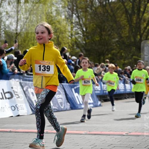12.04.2026 - 45. Internationalen Wilhelmsburger Insellauf J. Mangold http://msf.ph/oto/9522088 12.04.2026 14:21:21 Ziel 937, 263, 139, 1611, 629, 566, 564, 607, 980, 1630, 991, 302 meine-sportfotos.de
