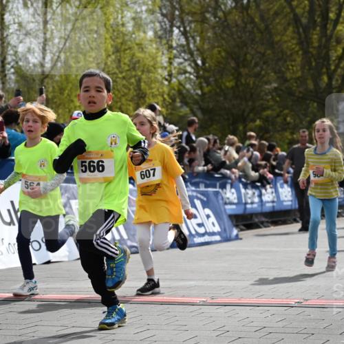 12.04.2026 - 45. Internationalen Wilhelmsburger Insellauf J. Mangold http://msf.ph/oto/9522097 12.04.2026 14:21:23 Ziel 937, 263, 139, 1611, 629, 566, 564, 607, 980, 1630, 991, 302, 562, 309, 282 meine-sportfotos.de