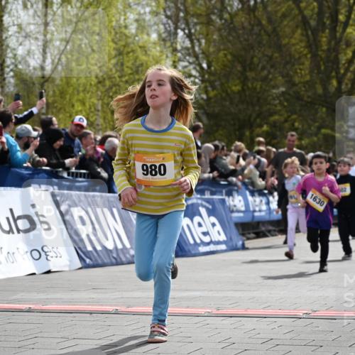 12.04.2026 - 45. Internationalen Wilhelmsburger Insellauf J. Mangold http://msf.ph/oto/9522111 12.04.2026 14:21:24 Ziel 139, 1611, 629, 566, 564, 607, 980, 1630, 991, 302, 562, 309, 282, 528 meine-sportfotos.de