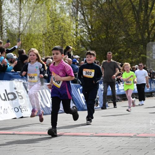 12.04.2026 - 45. Internationalen Wilhelmsburger Insellauf J. Mangold http://msf.ph/oto/9522127 12.04.2026 14:21:25 Ziel 629, 566, 564, 607, 980, 1630, 991, 302, 562, 309, 282, 528, 797, 984, 811, 128, 828 meine-sportfotos.de