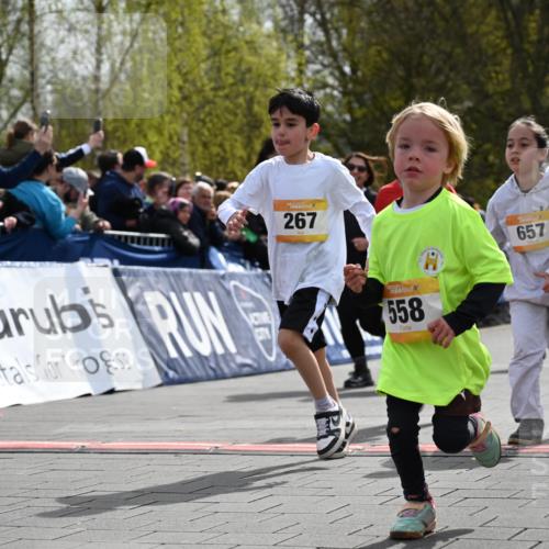 12.04.2026 - 45. Internationalen Wilhelmsburger Insellauf J. Mangold http://msf.ph/oto/9522216 12.04.2026 14:21:42 Ziel 957, 823, 117, 558, 267, 657, 698, 678, 279, 960, 838, 234, 111 meine-sportfotos.de