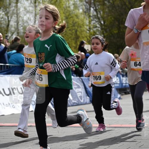 12.04.2026 - 45. Internationalen Wilhelmsburger Insellauf J. Mangold http://msf.ph/oto/9522250 12.04.2026 14:21:49 Ziel 838, 234, 111, 66, 136, 729, 769, 646, 159, 1622, 317, 283, 134, 316, 792, 763, 255, 65, 1617 meine-sportfotos.de