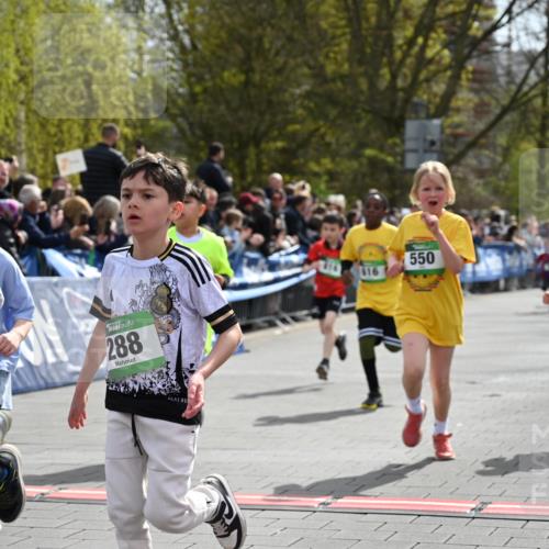12.04.2026 - 45. Internationalen Wilhelmsburger Insellauf J. Mangold http://msf.ph/oto/9522905 12.04.2026 14:35:03 Ziel 287, 326, 464, 1706, 346, 1726, 556, 840, 864, 288, 1725, 550, 527, 1721, 616, 816, 677 meine-sportfotos.de