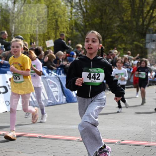 12.04.2026 - 45. Internationalen Wilhelmsburger Insellauf J. Mangold http://msf.ph/oto/9523100 12.04.2026 14:35:40 Ziel 514, 594, 680, 851, 515, 432, 513, 442, 603, 364, 425, 813, 674, 1724, 118, 322, 525 meine-sportfotos.de