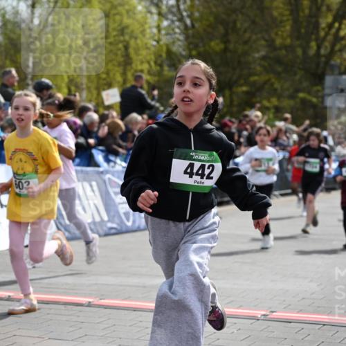 12.04.2026 - 45. Internationalen Wilhelmsburger Insellauf J. Mangold http://msf.ph/oto/9523101 12.04.2026 14:35:40 Ziel 514, 594, 680, 851, 515, 432, 513, 442, 603, 364, 425, 813, 674, 1724, 118, 322, 525 meine-sportfotos.de