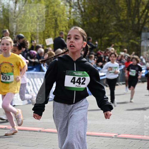 12.04.2026 - 45. Internationalen Wilhelmsburger Insellauf J. Mangold http://msf.ph/oto/9523102 12.04.2026 14:35:40 Ziel 514, 594, 680, 851, 515, 432, 513, 442, 603, 364, 425, 813, 674, 1724, 118, 322, 525 meine-sportfotos.de