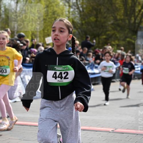 12.04.2026 - 45. Internationalen Wilhelmsburger Insellauf J. Mangold http://msf.ph/oto/9523103 12.04.2026 14:35:40 Ziel 514, 594, 680, 851, 515, 432, 513, 442, 603, 364, 425, 813, 674, 1724, 118, 322, 525 meine-sportfotos.de