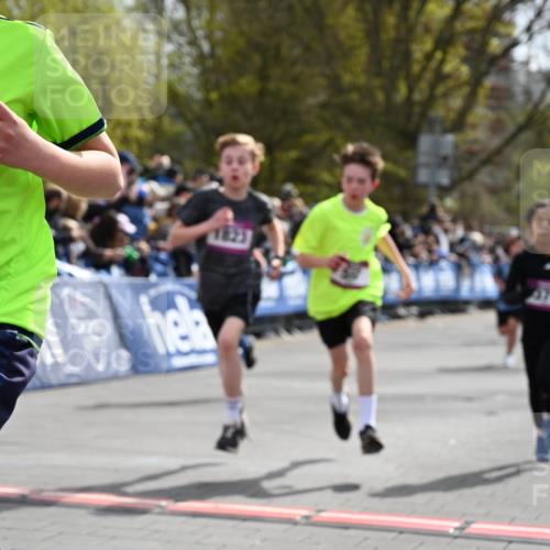 12.04.2026 - 45. Internationalen Wilhelmsburger Insellauf J. Mangold http://msf.ph/oto/9523910 12.04.2026 14:49:22 Ziel 1043, 101, 1063, 1048, 601, 418, 684, 597, 1823, 375, 2, 896, 372, 1055, 51 meine-sportfotos.de