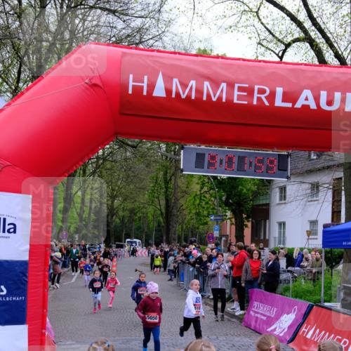 19.04.2026 - Hammer Lauf Tim E. http://msf.ph/oto/9524826 19.04.2026 09:02:08 Ziel  meine-sportfotos.de