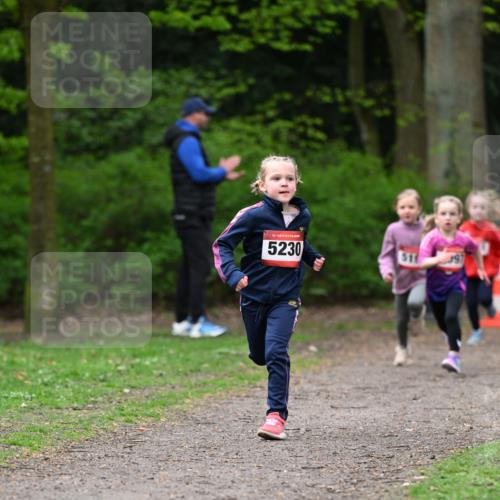 19.04.2026 - Hammer Lauf Dr. Thomas Lammeyer http://msf.ph/oto/9524903 19.04.2026 09:00:47 Laufen 5230, 511 meine-sportfotos.de