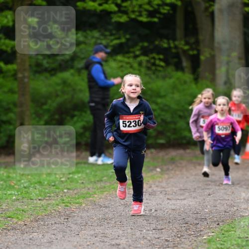 19.04.2026 - Hammer Lauf Dr. Thomas Lammeyer http://msf.ph/oto/9524905 19.04.2026 09:00:47 Laufen 5230, 5097 meine-sportfotos.de