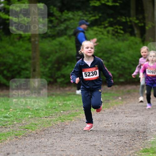 19.04.2026 - Hammer Lauf Dr. Thomas Lammeyer http://msf.ph/oto/9524909 19.04.2026 09:00:47 Laufen 5230, 5097 meine-sportfotos.de