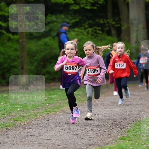 19.04.2026 - Hammer Lauf Dr. Thomas Lammeyer http://msf.ph/oto/9524919 19.04.2026 09:00:50 Laufen 5097, 5195, 5151 meine-sportfotos.de
