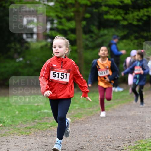 19.04.2026 - Hammer Lauf Dr. Thomas Lammeyer http://msf.ph/oto/9524940 19.04.2026 09:00:53 Laufen 5151, 1217 meine-sportfotos.de
