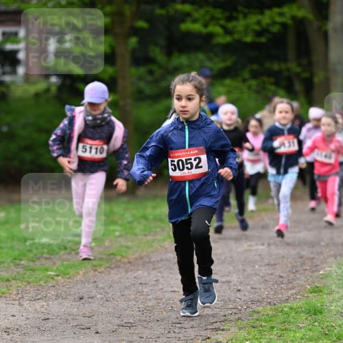 19.04.2026 - Hammer Lauf Dr. Thomas Lammeyer http://msf.ph/oto/9524958 19.04.2026 09:00:56 Laufen 5110, 5052, 431, 1545 meine-sportfotos.de