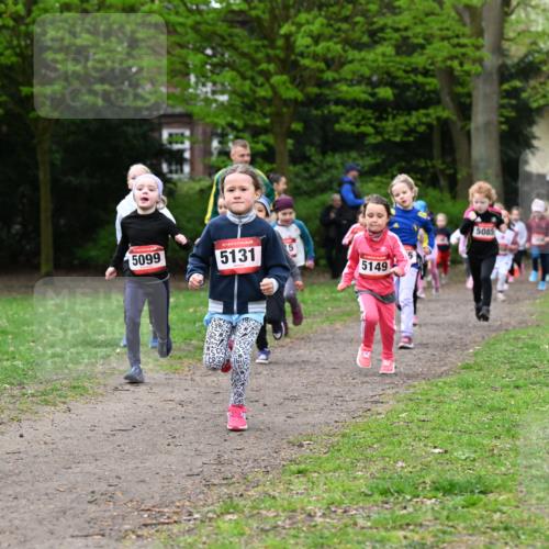 19.04.2026 - Hammer Lauf Dr. Thomas Lammeyer http://msf.ph/oto/9524973 19.04.2026 09:00:59 Laufen 110, 5099, 5131, 5149, 5085 meine-sportfotos.de