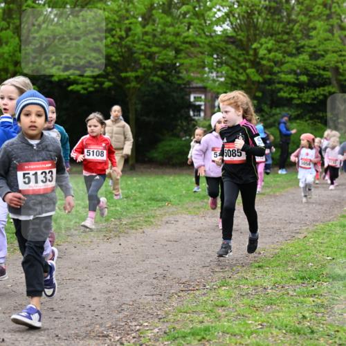 19.04.2026 - Hammer Lauf Dr. Thomas Lammeyer http://msf.ph/oto/9525003 19.04.2026 09:01:02 Laufen 6200, 5133, 5108, 55085, 5056, 5145 meine-sportfotos.de