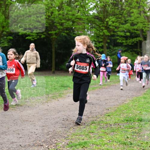 19.04.2026 - Hammer Lauf Dr. Thomas Lammeyer http://msf.ph/oto/9525005 19.04.2026 09:01:03 Laufen 5133, 1950, 5085, 108 meine-sportfotos.de