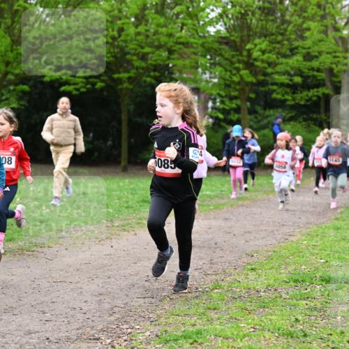 19.04.2026 - Hammer Lauf Dr. Thomas Lammeyer http://msf.ph/oto/9525009 19.04.2026 09:01:03 Laufen 115, 085, 5145, 5032, 5056 meine-sportfotos.de