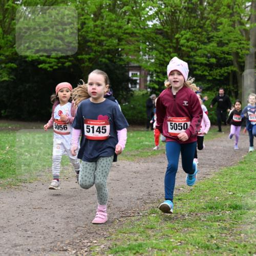 19.04.2026 - Hammer Lauf Dr. Thomas Lammeyer http://msf.ph/oto/9525036 19.04.2026 09:01:05 Laufen 5173, 5056, 5145, 5050, 5038, 5171 meine-sportfotos.de