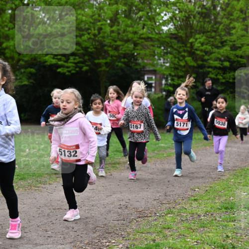 19.04.2026 - Hammer Lauf Dr. Thomas Lammeyer http://msf.ph/oto/9525062 19.04.2026 09:01:08 Laufen 507, 0523, 5132, 5038, 5171, 5167 meine-sportfotos.de