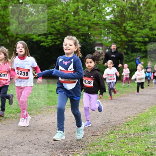 19.04.2026 - Hammer Lauf Dr. Thomas Lammeyer http://msf.ph/oto/9525081 19.04.2026 09:01:09 Laufen 5001, 2025, 5239, 5038, 5152 meine-sportfotos.de