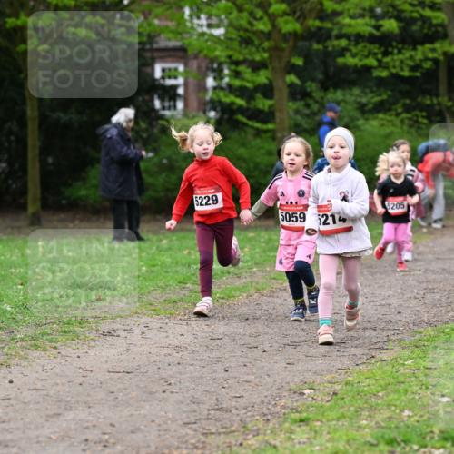 19.04.2026 - Hammer Lauf Dr. Thomas Lammeyer http://msf.ph/oto/9525247 19.04.2026 09:01:27 Laufen 5229, 5205, 5059, 214, 5048 meine-sportfotos.de