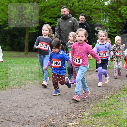 19.04.2026 - Hammer Lauf Dr. Thomas Lammeyer http://msf.ph/oto/9525420 19.04.2026 09:01:46 Laufen 5203, 5232, 5148, 6213, 5047, 508, 5067, 1565 meine-sportfotos.de