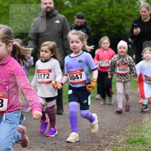 19.04.2026 - Hammer Lauf Dr. Thomas Lammeyer http://msf.ph/oto/9525437 19.04.2026 09:01:48 Laufen 213, 5083, 5172, 5047, 5067 meine-sportfotos.de
