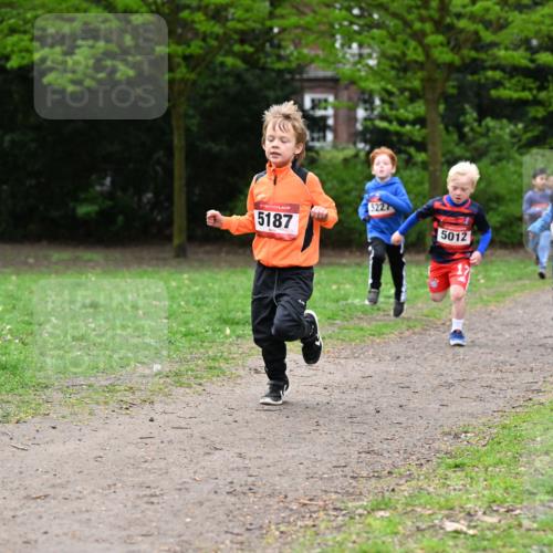 19.04.2026 - Hammer Lauf Dr. Thomas Lammeyer http://msf.ph/oto/9525613 19.04.2026 09:10:48 Laufen 5187, 5227, 520, 5012 meine-sportfotos.de