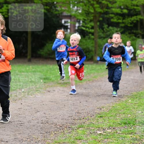 19.04.2026 - Hammer Lauf Dr. Thomas Lammeyer http://msf.ph/oto/9525624 19.04.2026 09:10:49 Laufen 5187, 5227, 5012, 208 meine-sportfotos.de