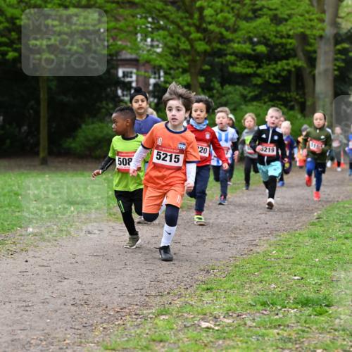 19.04.2026 - Hammer Lauf Dr. Thomas Lammeyer http://msf.ph/oto/9525657 19.04.2026 09:10:52 Laufen 508, 5215, 3219 meine-sportfotos.de
