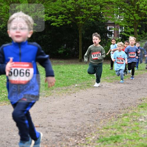 19.04.2026 - Hammer Lauf Dr. Thomas Lammeyer http://msf.ph/oto/9525735 19.04.2026 09:11:00 Laufen 5066, 5120, 1482, 5179, 5064, 515, 206 meine-sportfotos.de