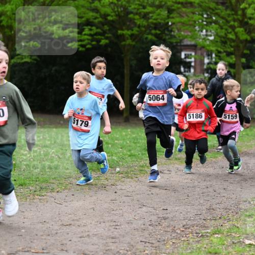 19.04.2026 - Hammer Lauf Dr. Thomas Lammeyer http://msf.ph/oto/9525753 19.04.2026 09:11:01 Laufen 5120, 5179, 5064, 5186, 5159 meine-sportfotos.de
