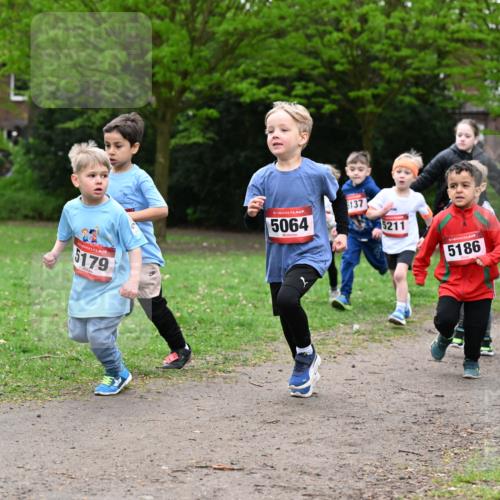 19.04.2026 - Hammer Lauf Dr. Thomas Lammeyer http://msf.ph/oto/9525762 19.04.2026 09:11:02 Laufen 179, 5064, 5137, 5211, 5186, 510 meine-sportfotos.de