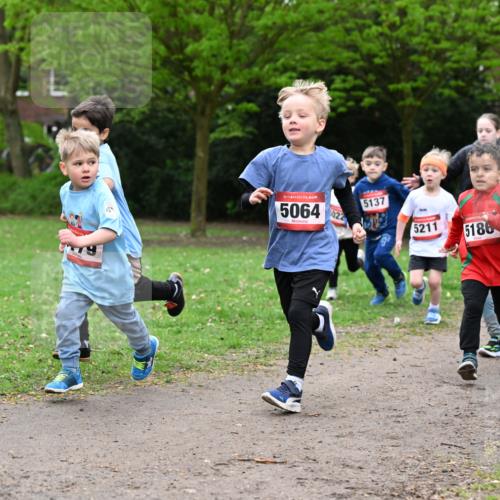 19.04.2026 - Hammer Lauf Dr. Thomas Lammeyer http://msf.ph/oto/9525763 19.04.2026 09:11:02 Laufen 5064, 022, 5137, 5211, 5186 meine-sportfotos.de