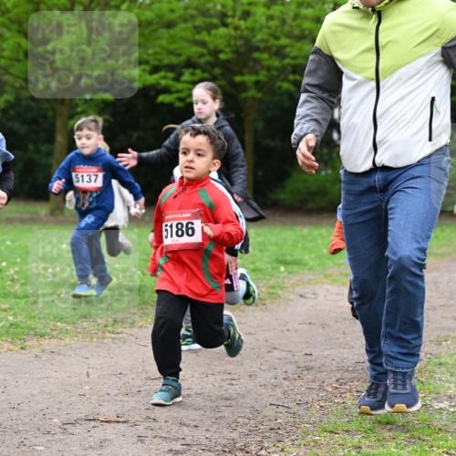 19.04.2026 - Hammer Lauf Dr. Thomas Lammeyer http://msf.ph/oto/9525772 19.04.2026 09:11:03 Laufen 5064, 5137, 5186 meine-sportfotos.de
