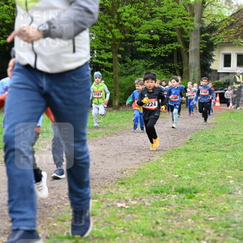 19.04.2026 - Hammer Lauf Dr. Thomas Lammeyer http://msf.ph/oto/9525774 19.04.2026 09:11:03 Laufen 5181, 5183, 189, 5224 meine-sportfotos.de