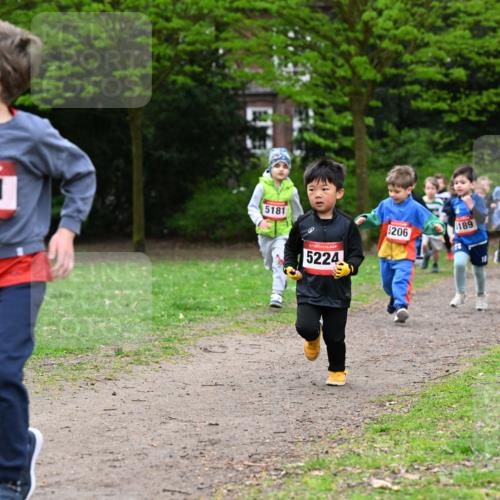 19.04.2026 - Hammer Lauf Dr. Thomas Lammeyer http://msf.ph/oto/9525783 19.04.2026 09:11:04 Laufen 5101, 5181, 5224, 206, 189, 5183 meine-sportfotos.de
