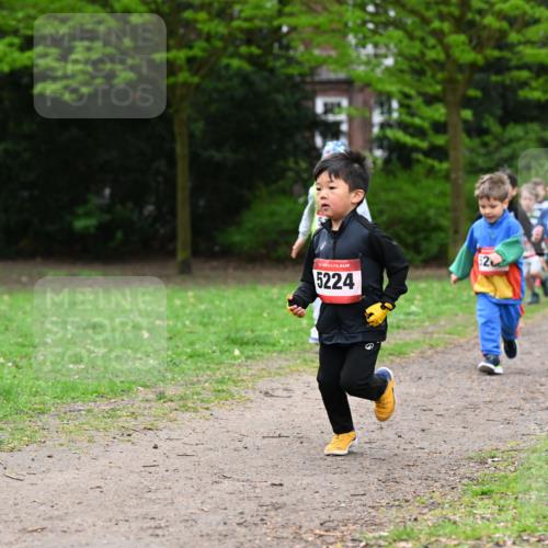 19.04.2026 - Hammer Lauf Dr. Thomas Lammeyer http://msf.ph/oto/9525786 19.04.2026 09:11:04 Laufen 5224, 4424, 189 meine-sportfotos.de