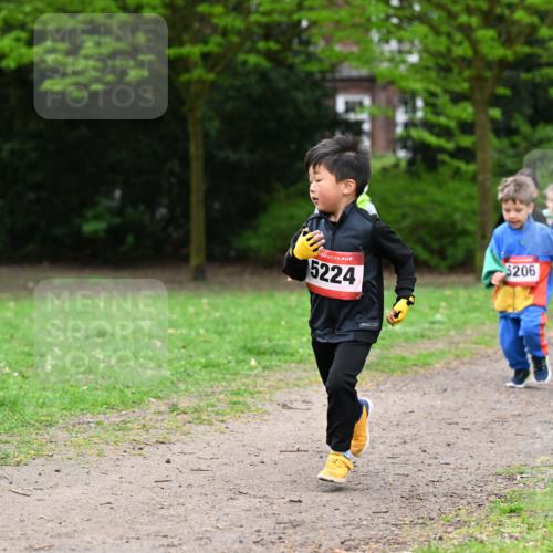 19.04.2026 - Hammer Lauf Dr. Thomas Lammeyer http://msf.ph/oto/9525788 19.04.2026 09:11:04 Laufen 5224, 5206, 189 meine-sportfotos.de
