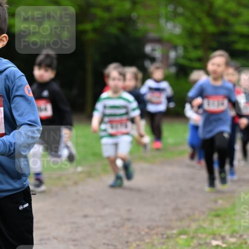 19.04.2026 - Hammer Lauf Dr. Thomas Lammeyer http://msf.ph/oto/9525832 19.04.2026 09:11:09 Laufen 5183 meine-sportfotos.de