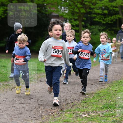 19.04.2026 - Hammer Lauf Dr. Thomas Lammeyer http://msf.ph/oto/9525913 19.04.2026 09:11:17 Laufen 509, 170, 5188 meine-sportfotos.de