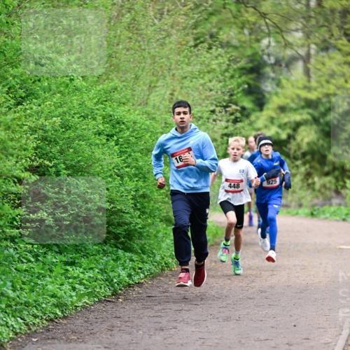 19.04.2026 - Hammer Lauf Dr. Thomas Lammeyer http://msf.ph/oto/9526594 19.04.2026 09:24:00 Laufen 448, 925 meine-sportfotos.de