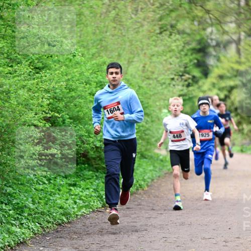 19.04.2026 - Hammer Lauf Dr. Thomas Lammeyer http://msf.ph/oto/9526603 19.04.2026 09:24:00 Laufen 1604, 448, 1925 meine-sportfotos.de